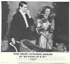 Postales: LAMINA 39938: Cary Grant en Bringing up baby - NULL