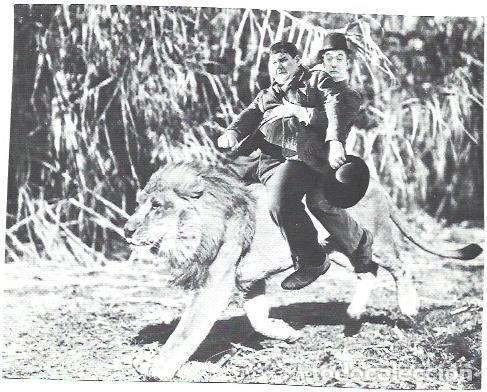 Cartes Postales: LAMINA 39858: Oliver y Hardy sobre un leon - NULL