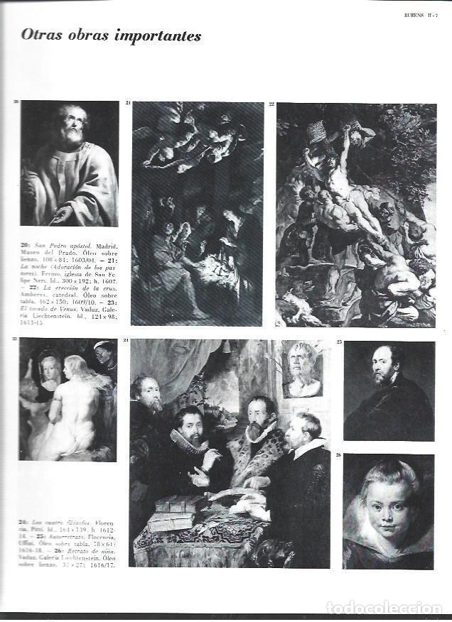 Postcards: LAMINA 40360: Obras importantes de Rubens - Varios