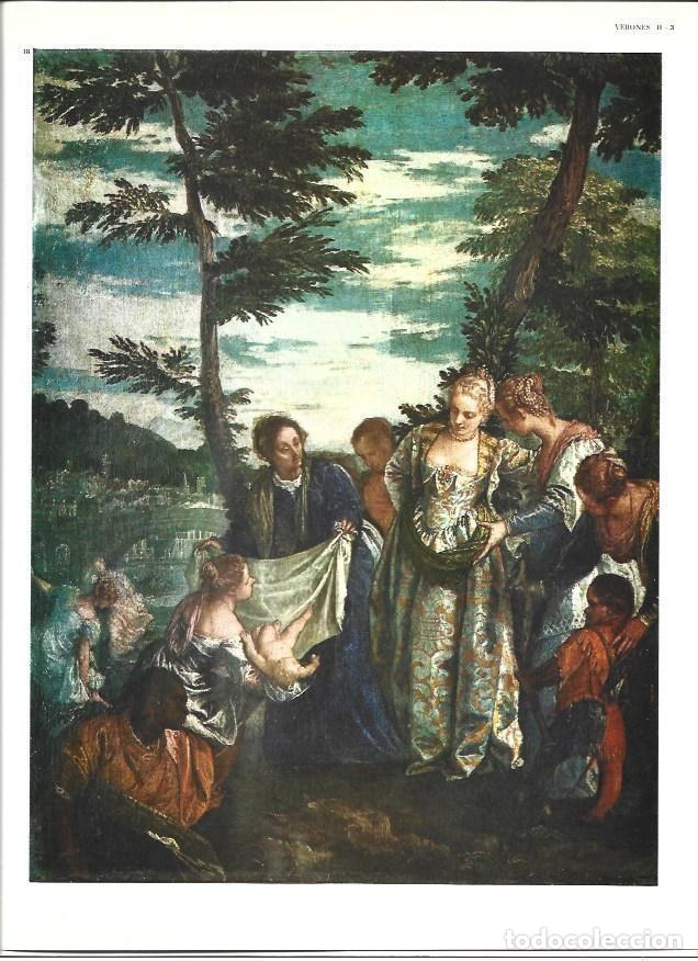 Postkarten: LAMINA 40316: Moises salvado de las aguas, por Verones - Varios