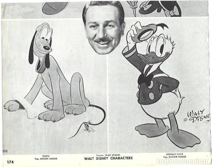 Postales: VARIOS 7278: Pluto y El pato Donald de Walt Disney - NULL - Foto 1
