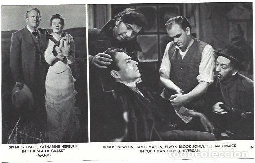 Postkarten: VARIOS 7260: Spencer Tracy y Katherine Hepburn en The sea of grass - NULL