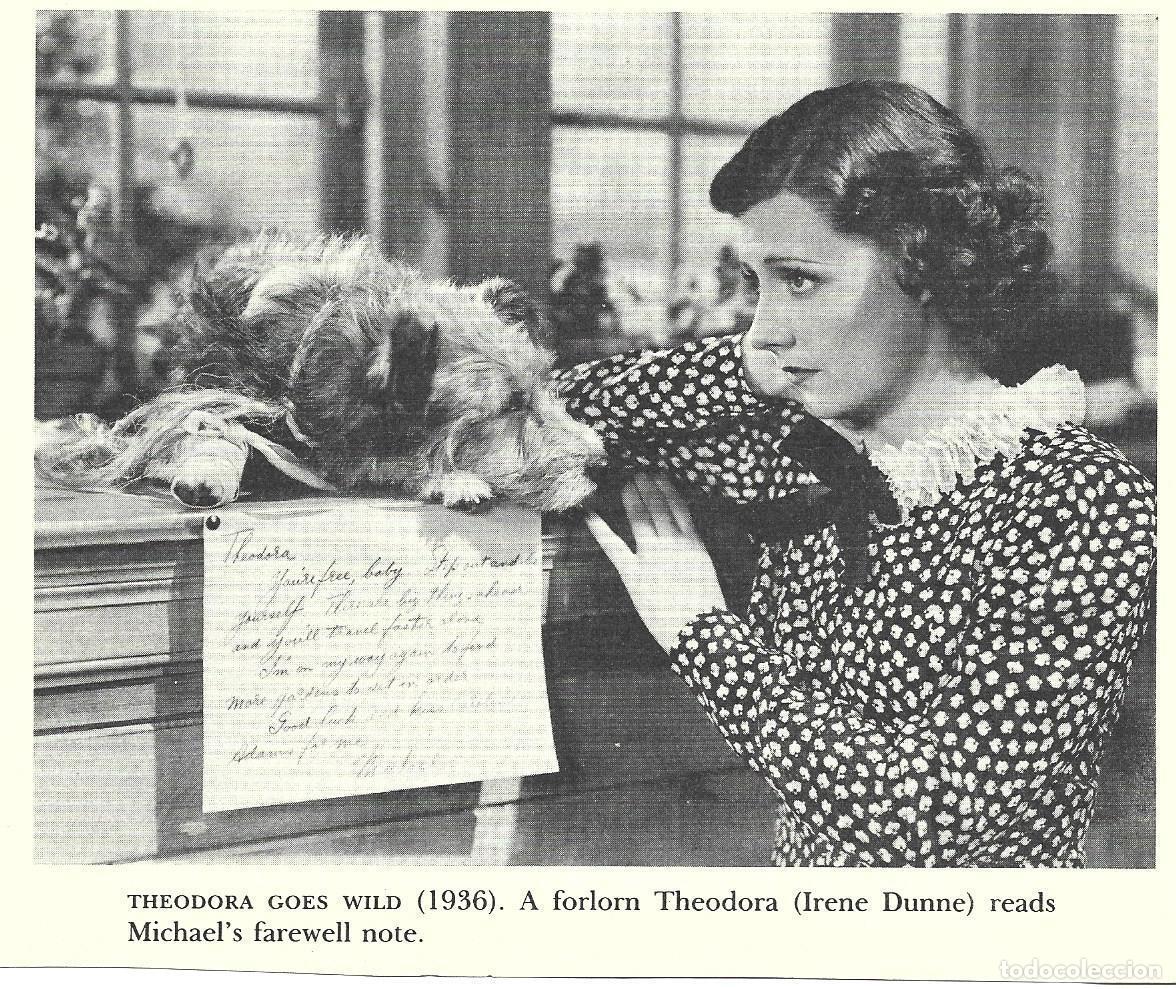 Postais: VARIOS 7163: irene Dunne en Teodora goes wild - NULL
