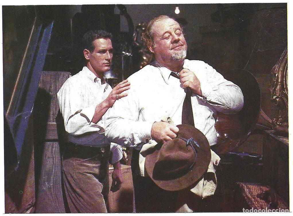 Postales: VARIOS 7153: Escena con Paul Newman - NULL - Foto 1