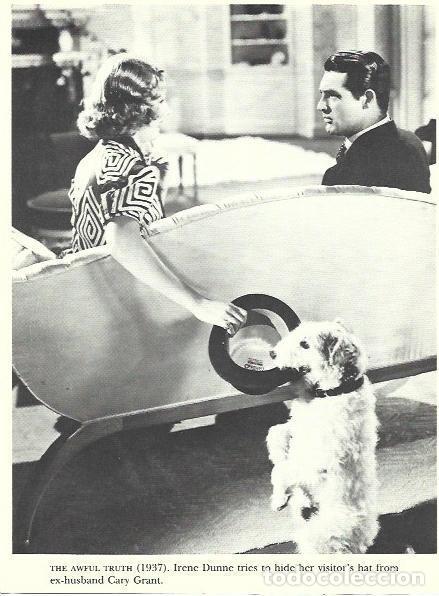 Postales: VARIOS 7172: Cary Grant en The Awful Truth - NULL - Foto 1
