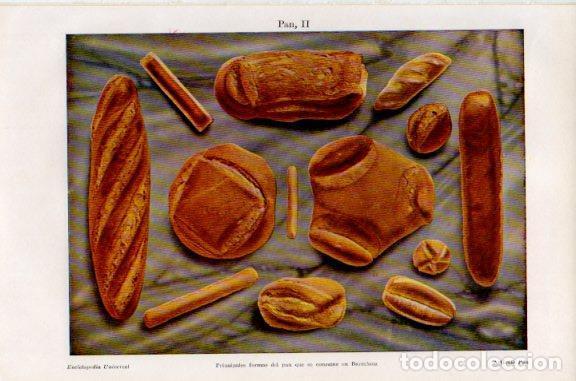 Postcards: LAMINA V51138: Tipos de pan de Barcelona - Varios.