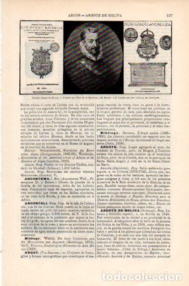 Postkarten: LAMINA V51250: Gonzalo Argote de Molina - Varios.