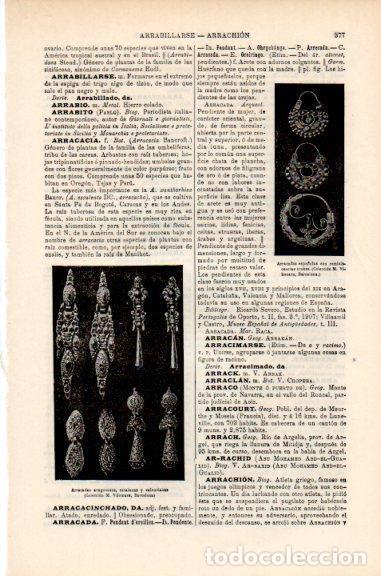Postcards: LAMINA V51288: Arracadas de Aragon, Catalu&ntilde;a y Valencia - Varios.
