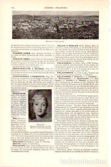 Postcards: LAMINA V51595: Vista general de Felanitx, Baleares - Varios.