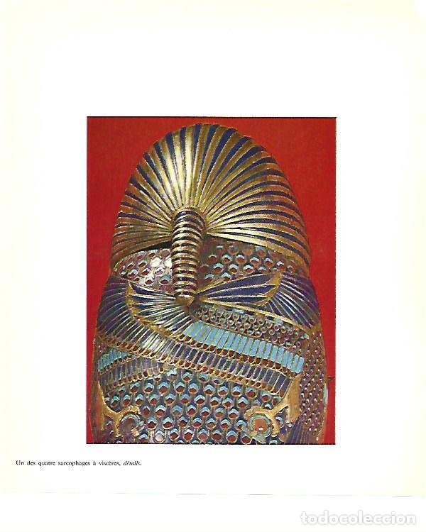 Cartoline: LAMINA 40802: Reverso de la Mascara de Tutabkhamon - Christiane Desroches-Noblecourt