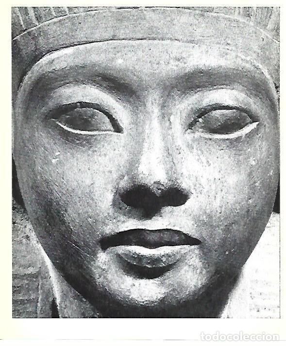 Postales: LAMINA 40740: Detalle de la cara del faraon Akhenaton - Christiane Desroches-Noblecourt