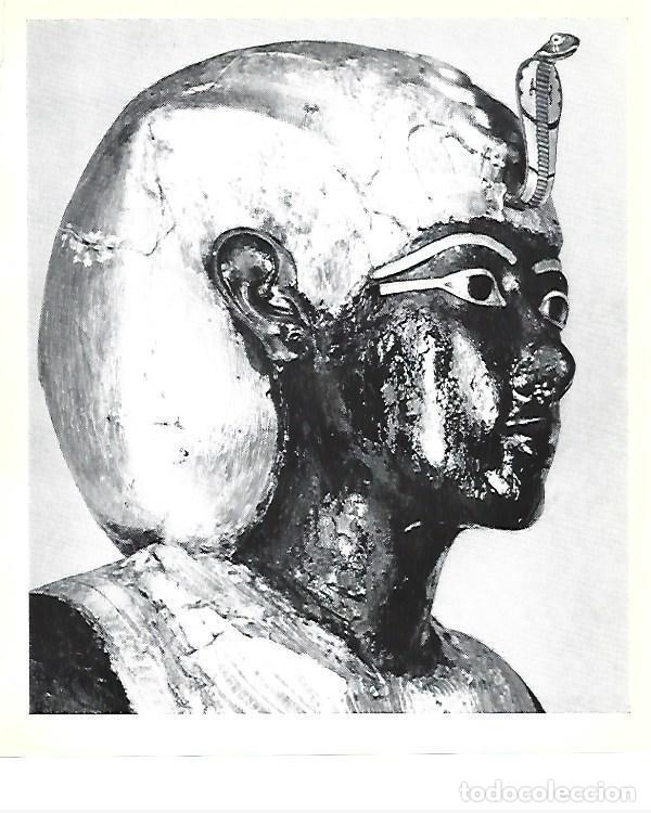 Postkarten: LAMINA 40799: Cabeza del Ka real Hhorakhty de Tutankhamon - Christiane Desroches-Noblecourt