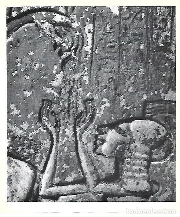 Cartoline: LAMINA 40755: Detalle del relieve de Tell Amarna - Christiane Desroches-Noblecourt