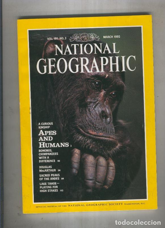 Postcards: National geographic 1992 March: a curious kinship apes and humans - Varios