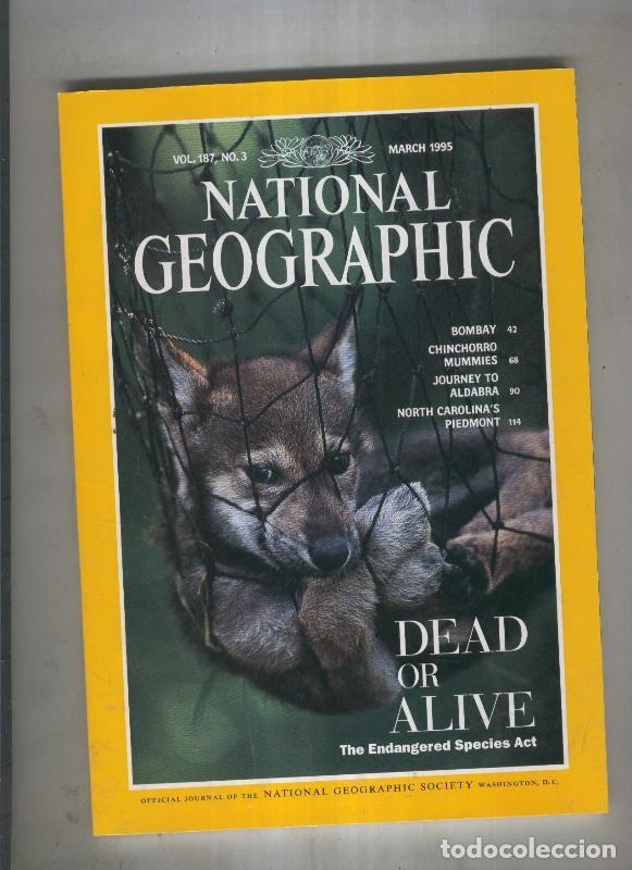 Postcards: National geographic 1995 March: dead or alive the endangered species act - Varios