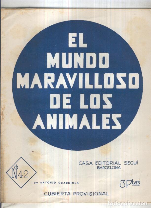 Postcards: El mundo maravilloso de los animales numero 42: Algunos pajaros - Antonio Guardiola