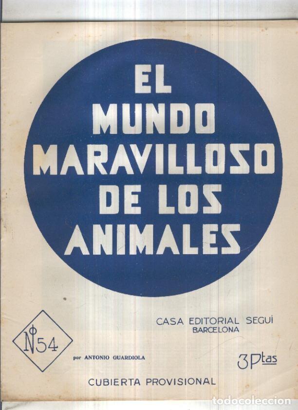 Postkarten: El mundo maravilloso de los animales numero 54: Pelicanos, cormoranes, alcatraces y palomas - Antoni