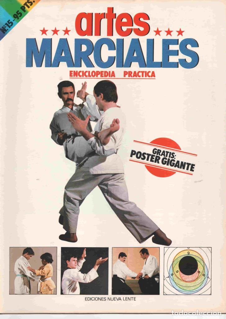 Postales: Fasciculo: Artes Marciales num 15. Enciclopedia Practica. NO INCLUYE POSTER GIGANTE. Karate-do Tekki