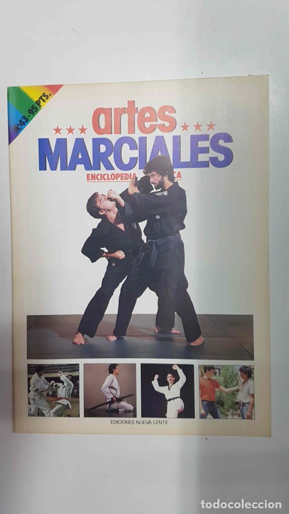 Postales: Fasciculo: Artes Marciales num 43. Enciclopedia Practica. Karate-Do la alta competicion: Kumite indi