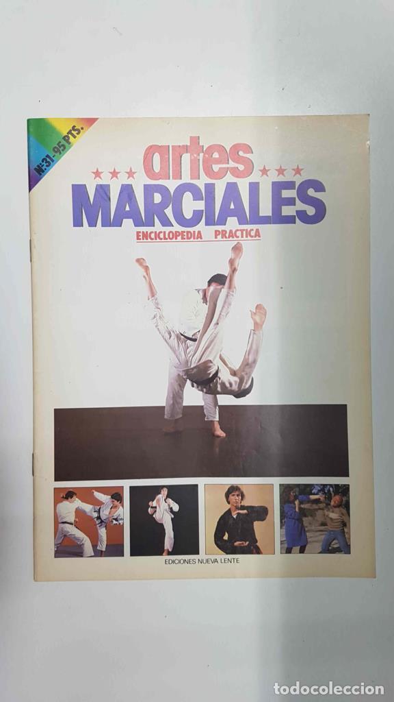 Postales: Fasciculo: Artes Marciales num 31. Enciclopedia Practica. Karate-do: Resumen del cinturon marron - N