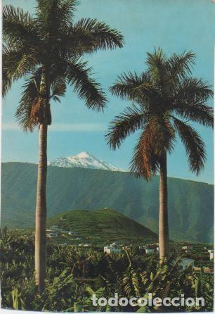 Postales: Postal E02033: Plantaci&oacute;n de platano, y el Teide Puerto de la Cruz, Tenerife - Varios