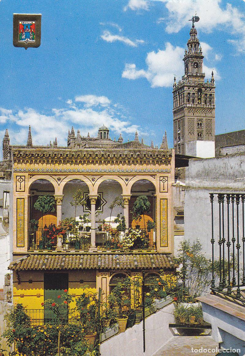 Postcards: Postal 61316 : Sevilla. Terraza Sevillana y Giralda - Varios