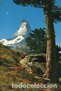 Postkarten: POSTAL PV12824: Bergarve bei Zermatt - NULL