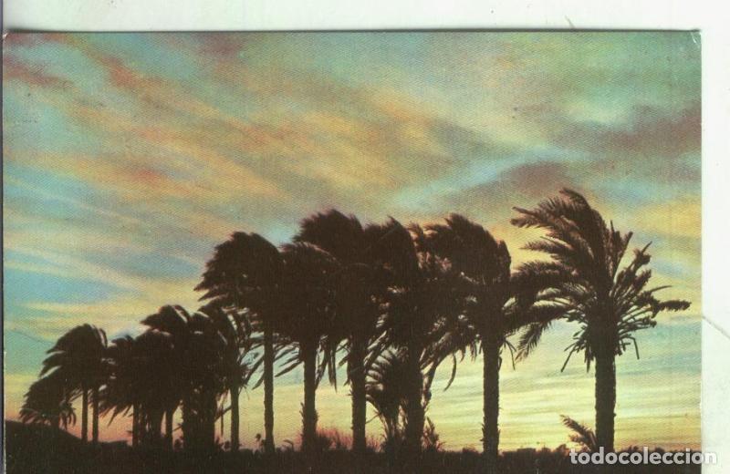 Cartoline: Postal:: Ibiza - Varios