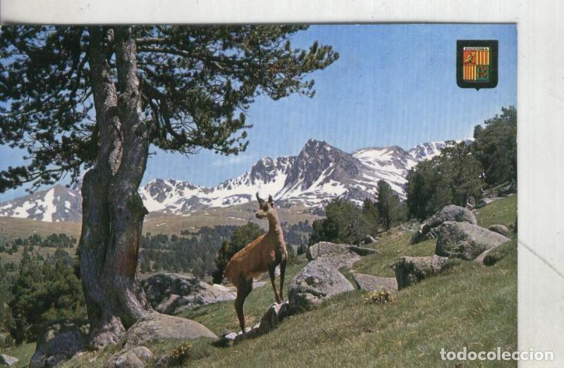 Postales: Postal: Andorra - Varios - Foto 1
