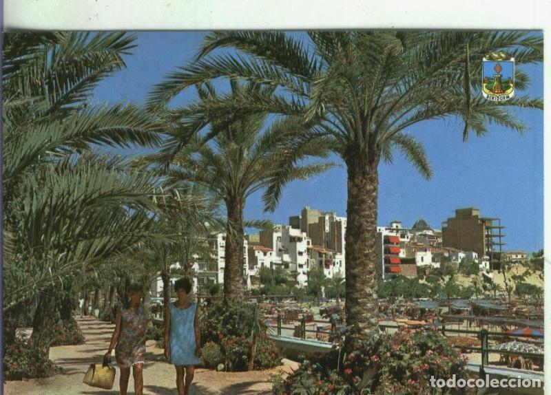 Postales: Postal: Alicante-Benidorm - Varios