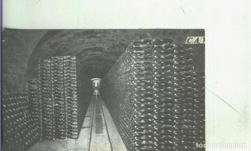 Postales: Postal: San Sadurni de Noya-Casa Codorniu - Varios