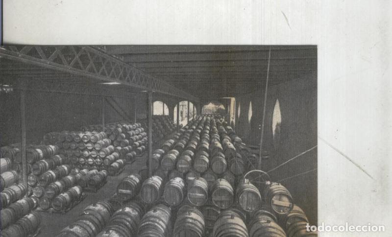 Postales: Postal: Barcelona: San Sadurni de Noya: Casa Codorniu - Varios