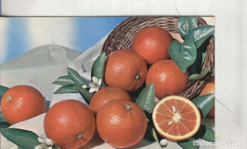Postales: Postal: Blanca - Varios - Foto 1