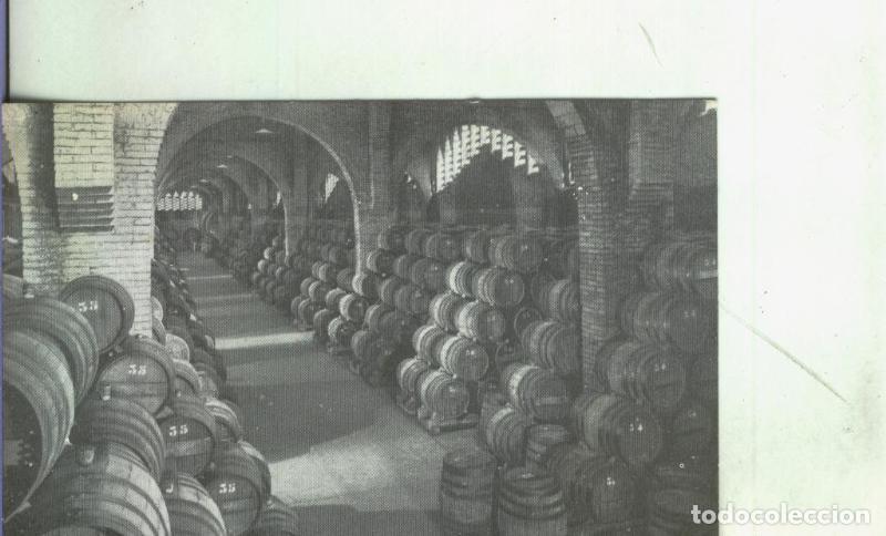 Postales: Postal: San Sadurni de Noya-Casa Codorniu - Varios
