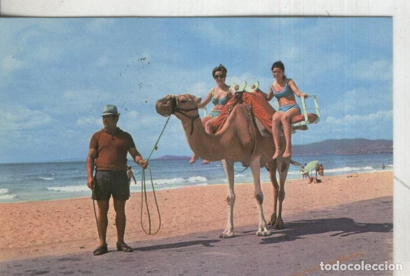 Postales: Postal: Mallorca - Varios - Foto 1