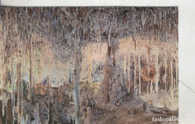 Postais: Postal 3917 : Manacor: Porto Cristo: Cuevas dels Hams: sue&ntilde;o de un angel - Varios