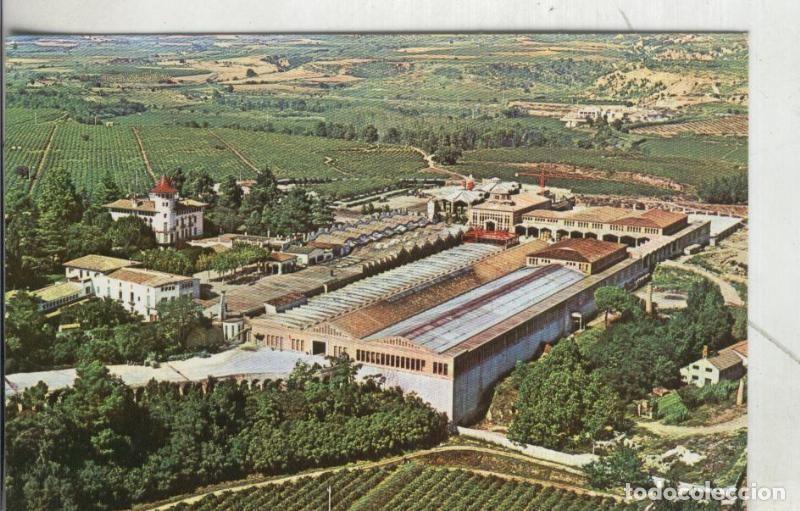 Postales: Postal 4134 : Cavas Codorniu: Exteriores - Varios