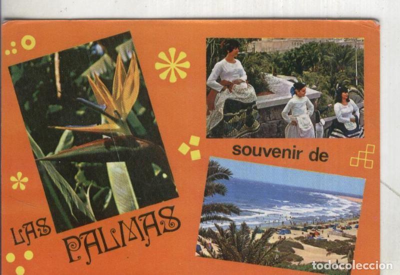Postais: Postal 4482 : Souvenir de Las Palmas - Varios