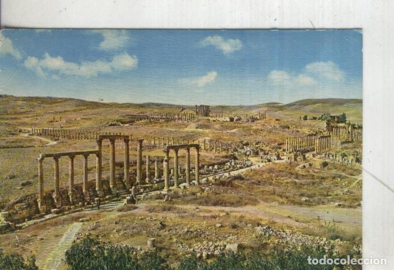 Postales: Postal 4488 : Jerash: La rue des collonades - Varios