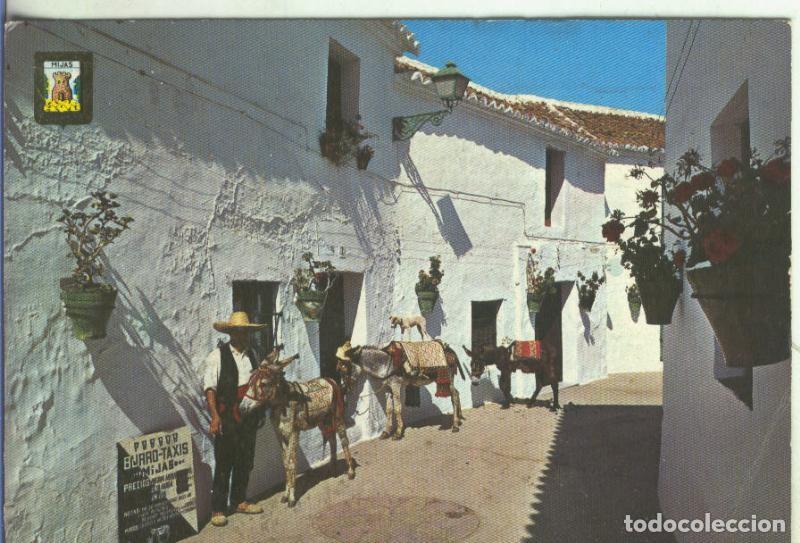 Postcards: Postal 5217 : Parrada de Burros en Mijas (Malaga) - Varios