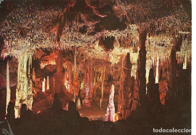 Postcards: Postal 6445 : Mallorca, Porto Cristo: Cuevas - Varios