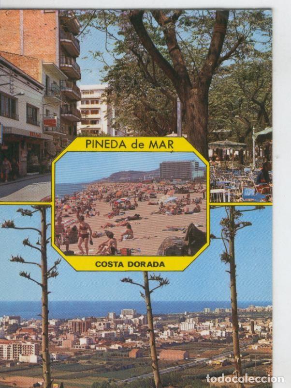 Postais: Postal 6992 : Pineda de Mar, vistas varias - Varios