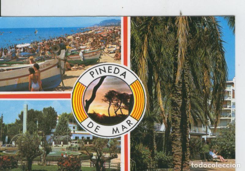 Postais: Postal 7041 : Pineda de Mar: vistas generales - Varios