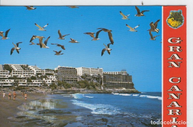 Postales: Postal 7247 : Gran Canaria, San Agustin - Varios
