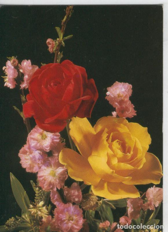 Postcards: Postal 6958 : Rosas - Varios