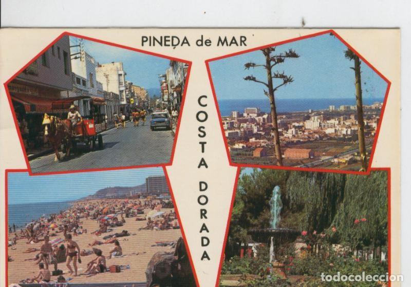 Postkarten: Postal 7043 : Pineda de Mar: Vistas varias - Varios