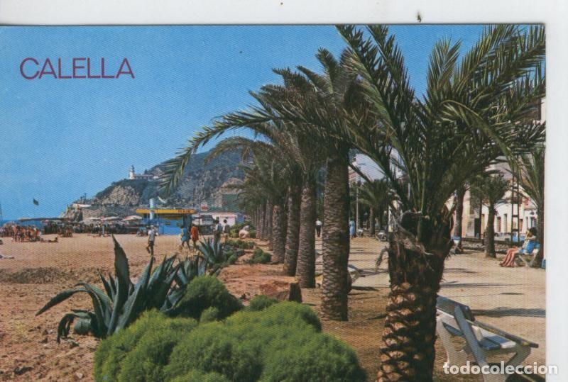 Postkarten: Postal 7473 : Paseode las palmeras de Calella, Barcelona - Varios