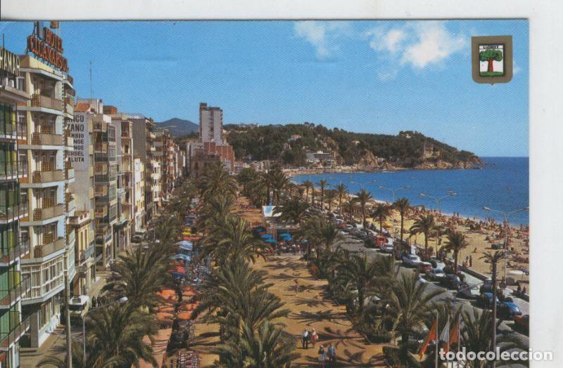Postkarten: Postal 08005 : Lloret de Mar: paseo y palmeras - Varios
