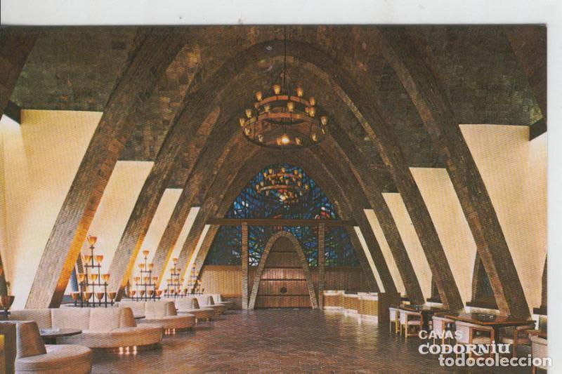 Postales: Postal 08140 : Sala recepcion Cavas Codorniu - Varios