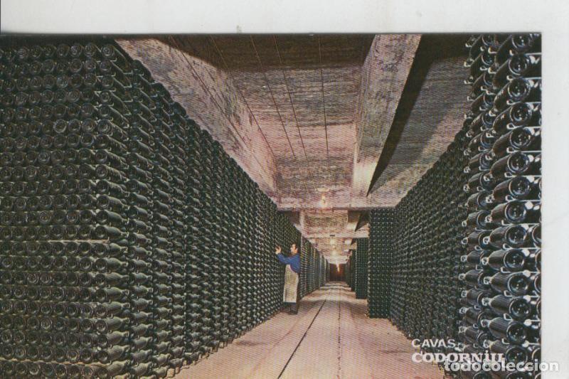 Postales: Postal 008418: Botellas envejeciendo en Cavas Codorniu - Varios
